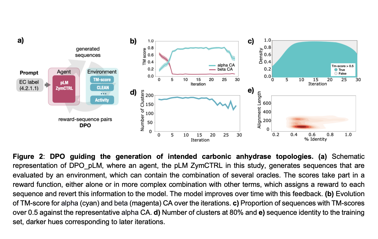 optimizing-protein-design-with-reinforcement-learning-enhanced-plms:-introducing-dpo-plm-for-efficient-and-targeted-sequence-generation