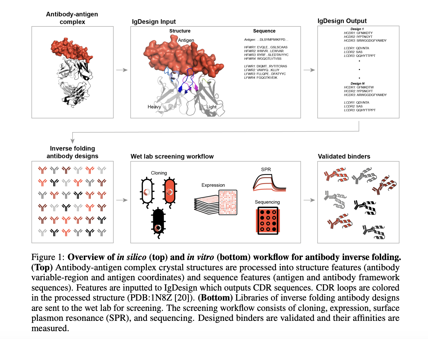 absci-bio-releases-igdesign:-a-deep-learning-approach-transforming-antibody-design-with-inverse-folding