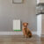 pawport-introduces-upgraded-smart-pet-door-system