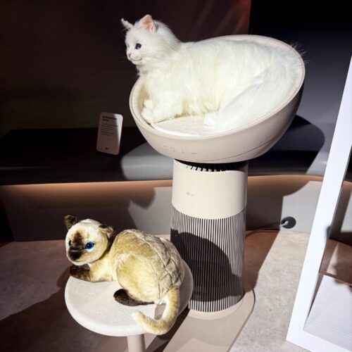 Three bizarre home devices and a couple good things at CES 2025