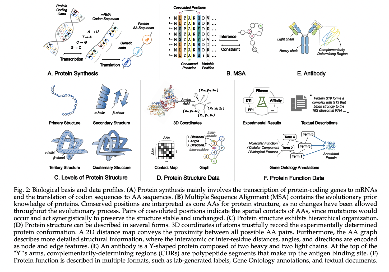 advancing-protein-science-with-large-language-models:-from-sequence-understanding-to-drug-discovery