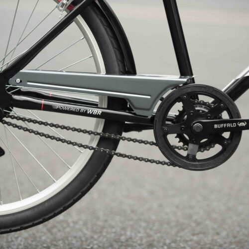 Why it makes perfect sense for this bike to have two gears and two chains