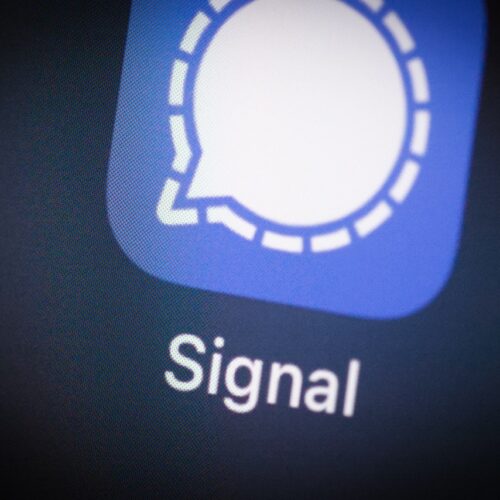 X is reportedly blocking links to secure Signal contact pages