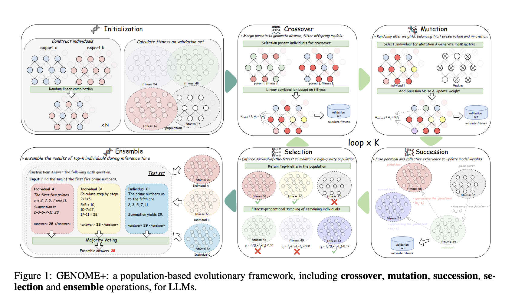 From Genes to Genius: Evolving Large Language Models with Nature’s Blueprint