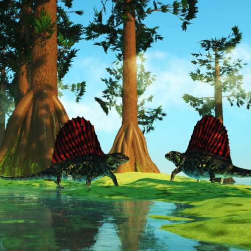 even-the-worst-mass-extinction-had-its-oases