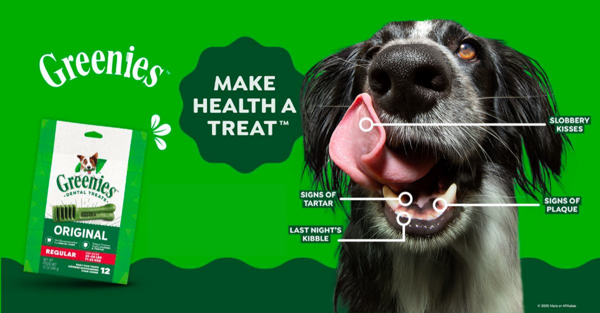 mars-puts-pet-health-in-pet-parents’-hands-with-new-artificial-intelligence-powered-tools