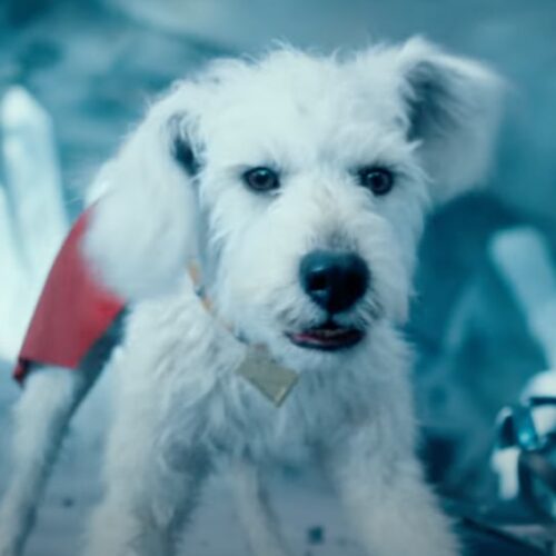 krypto-steals-the-show-(again)-in-superman-trailer