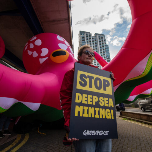 Experts alarmed over Trump’s promotion of deep-sea mining in international waters
