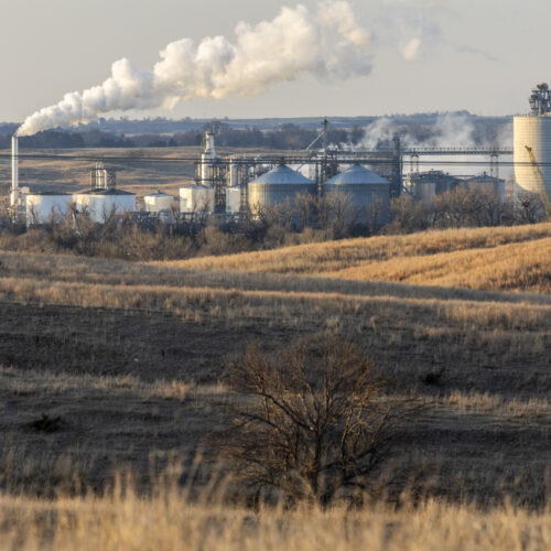 biofuels-policy-has-been-a-failure-for-the-climate,-new-report-claims