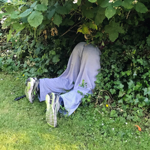 worst-hiding-spot-ever:-/nsfw/nope/don’t-open/you-were-warned/