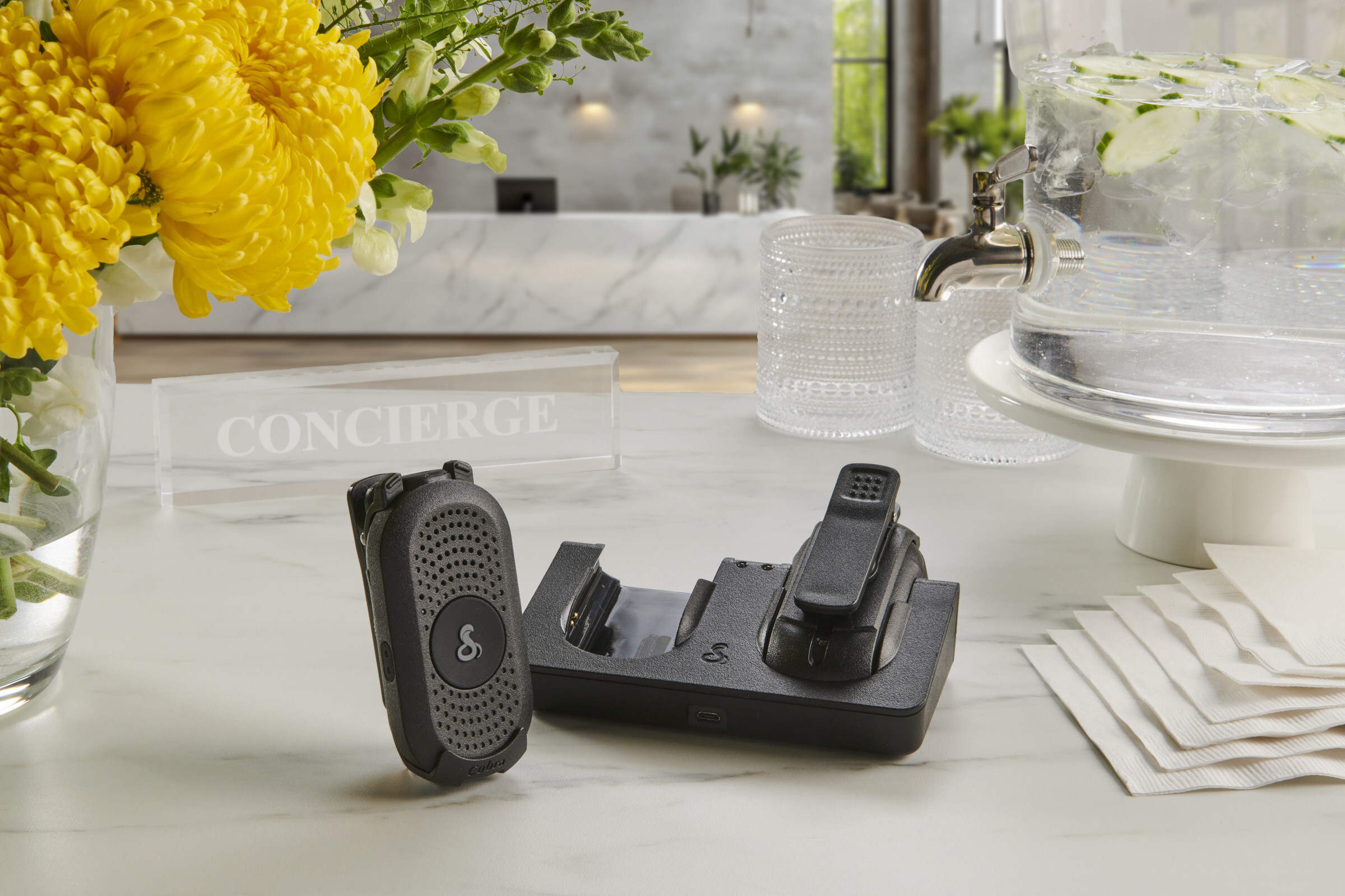 cobra-electronics-expands-business-solutions-portfolio-with-new-px280-radio