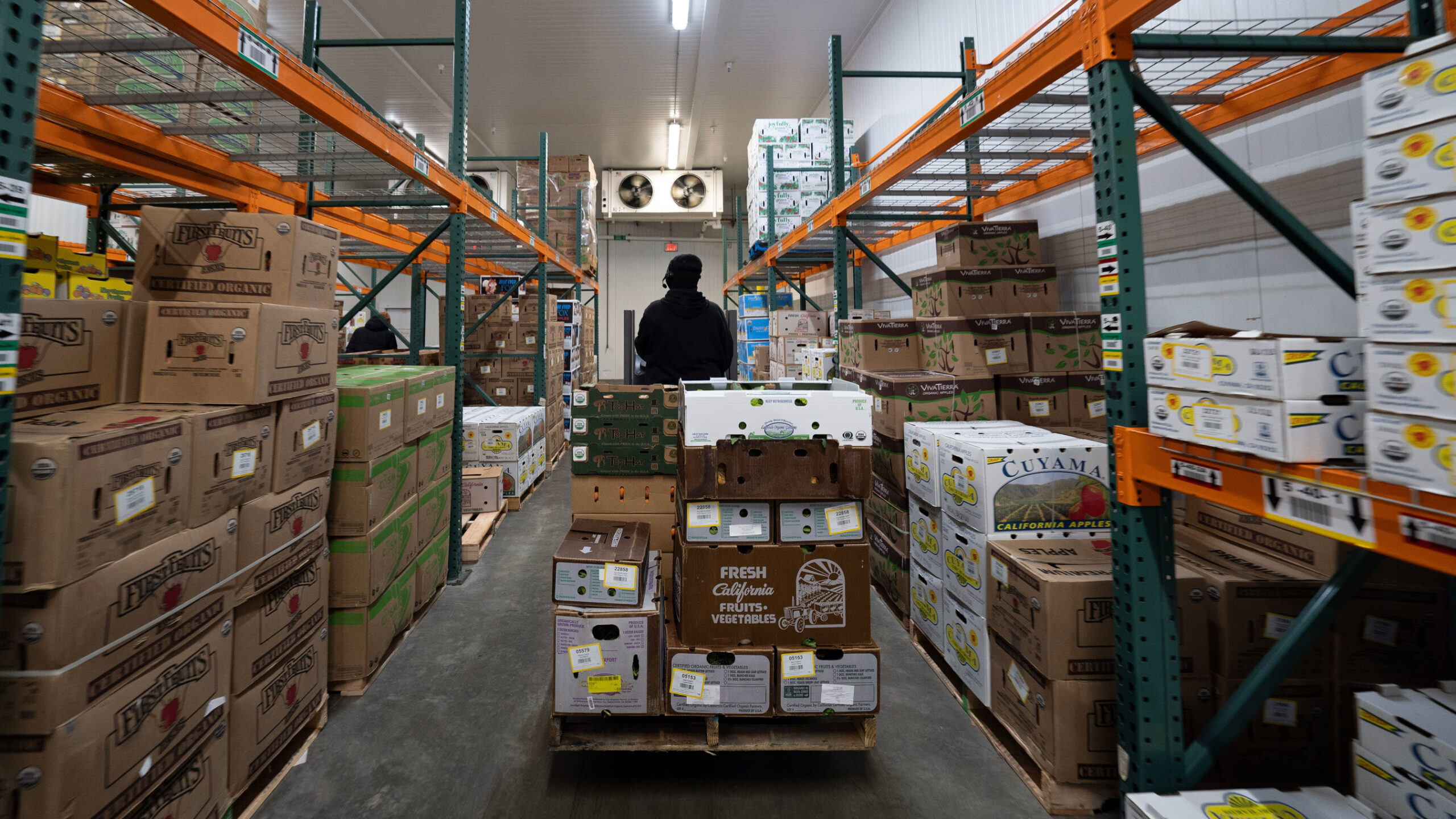 warehouses-get-more-efficient-with-new-pallet-building-technologies-from-lucas-systems