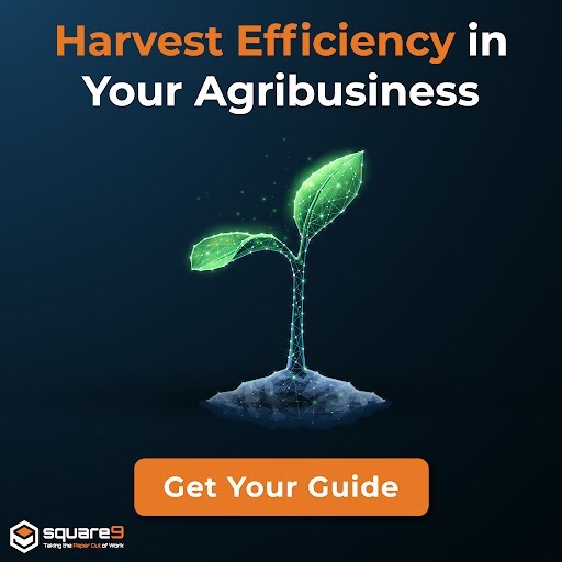 harvest-efficiency-in-agribusiness-with-square-9’s-ai-automation-guide