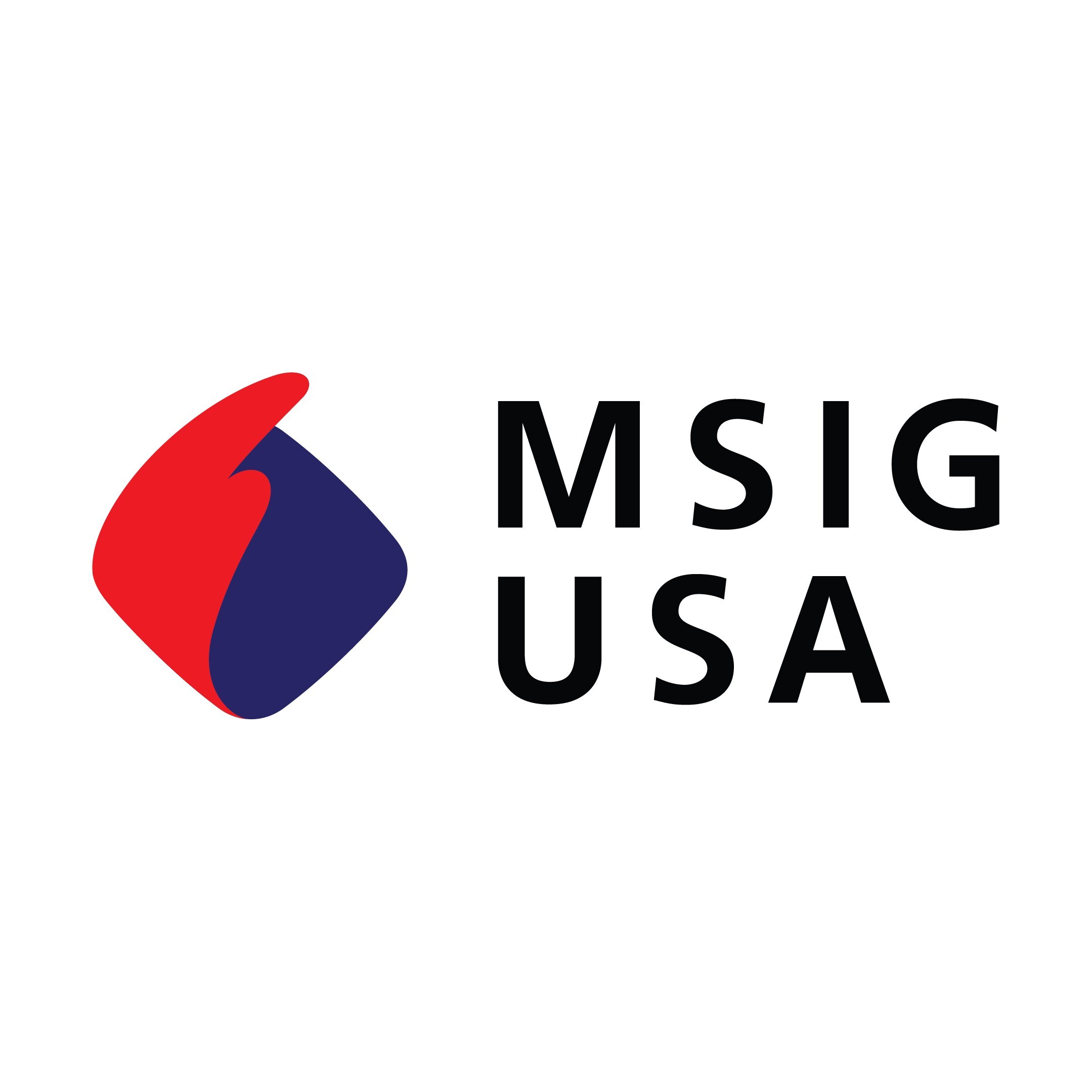 msig-usa-appoints-jayson-taylor-to-lead-casualty-business