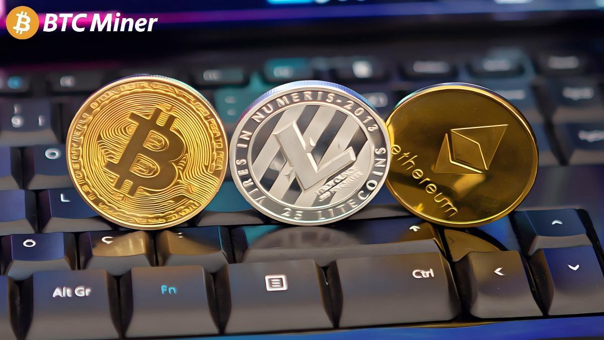 earn-up-to-$1,000,000-a-day-with-btc-miner-–-100%-guaranteed-profits