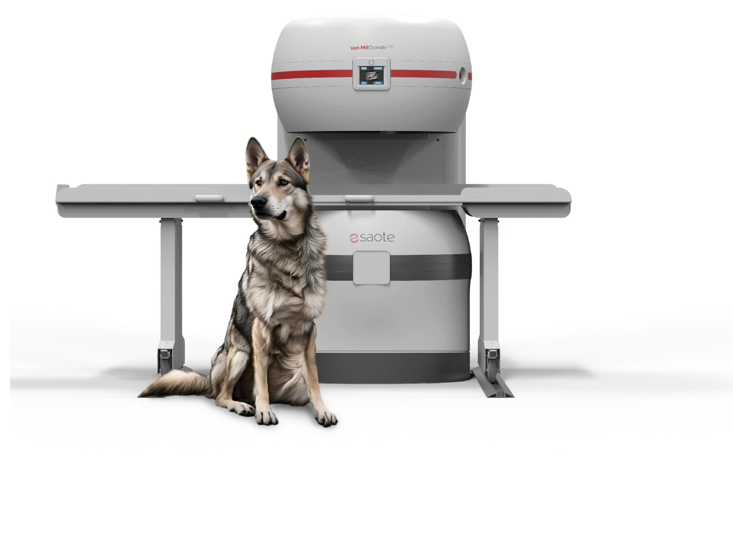 esaote-presents-at-ecvs-2025-the-new-generation-of-veterinary-mri,-vet-mr-grande-elite