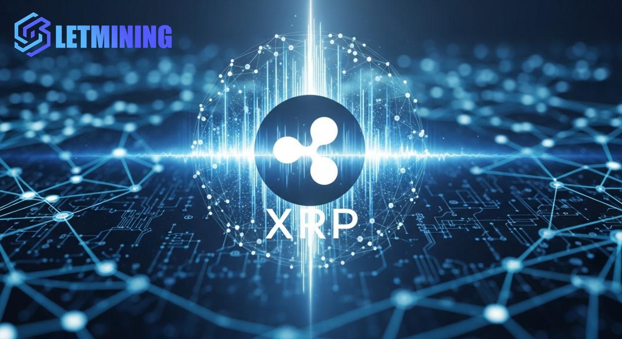 from-holding-coins-to-income:-let-mining-builds-a-passive-income-system-for-xrp