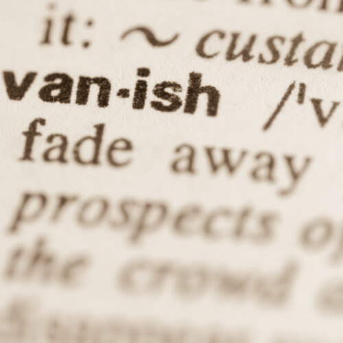 dictionary.com-“devastated”-paid-users-by-abruptly-deleting-saved-words-lists