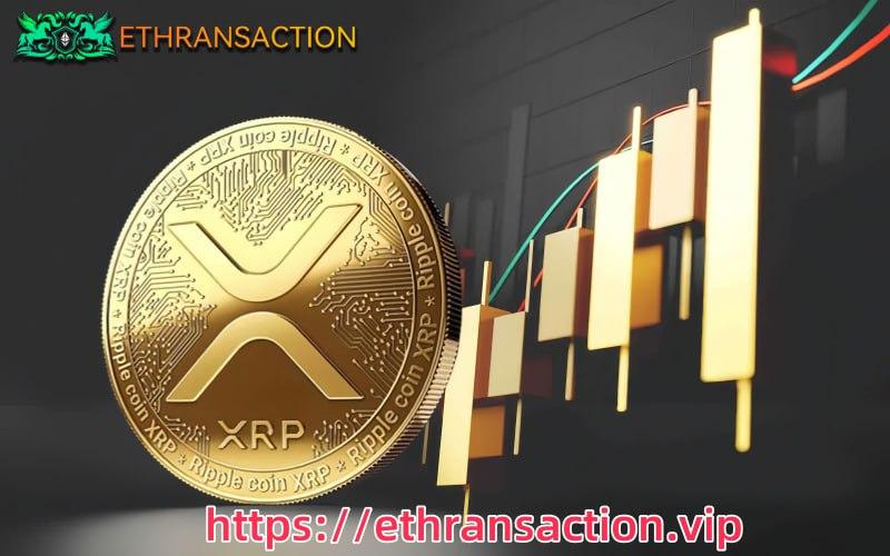 ethransaction-launches-2025-guide-for-newbies-to-yield-btc-and-dogecoin