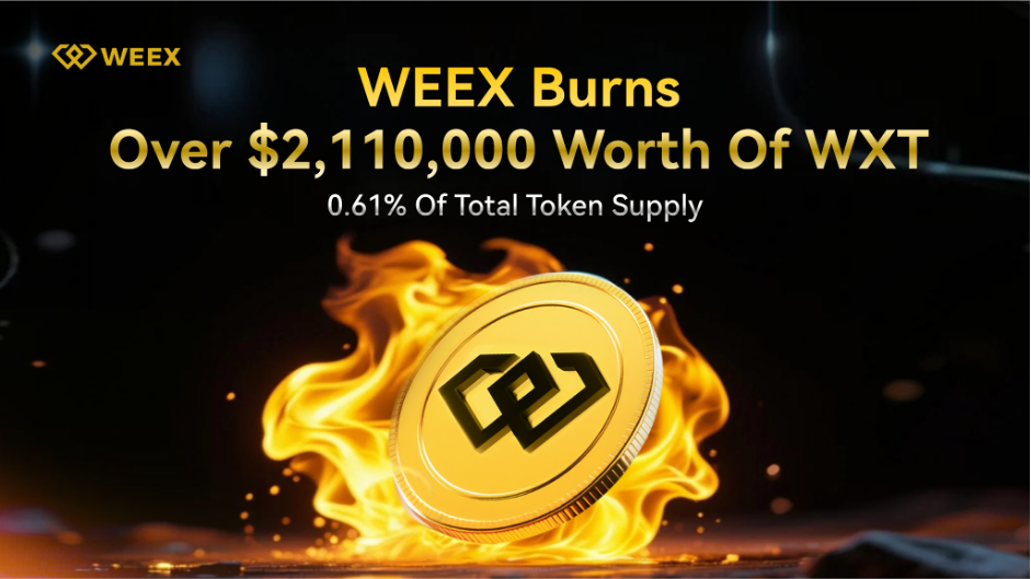 weex-burns-$2-million-wxt,-0.61%-of-the-total-supply