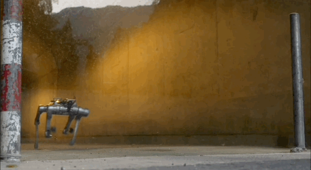 the-wild-quadruped-robot-scrambles-down-hills,-through-glass,-and-you-can-stand-on-it