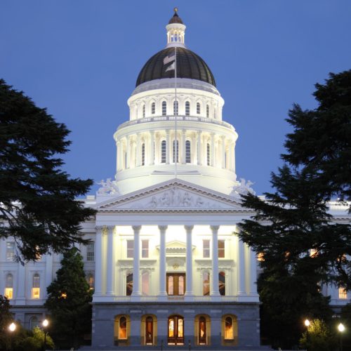 States take the lead in AI regulation as federal government steers clear