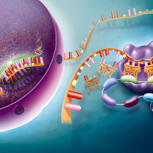 some-ai-tools-don’t-understand-biology-yet