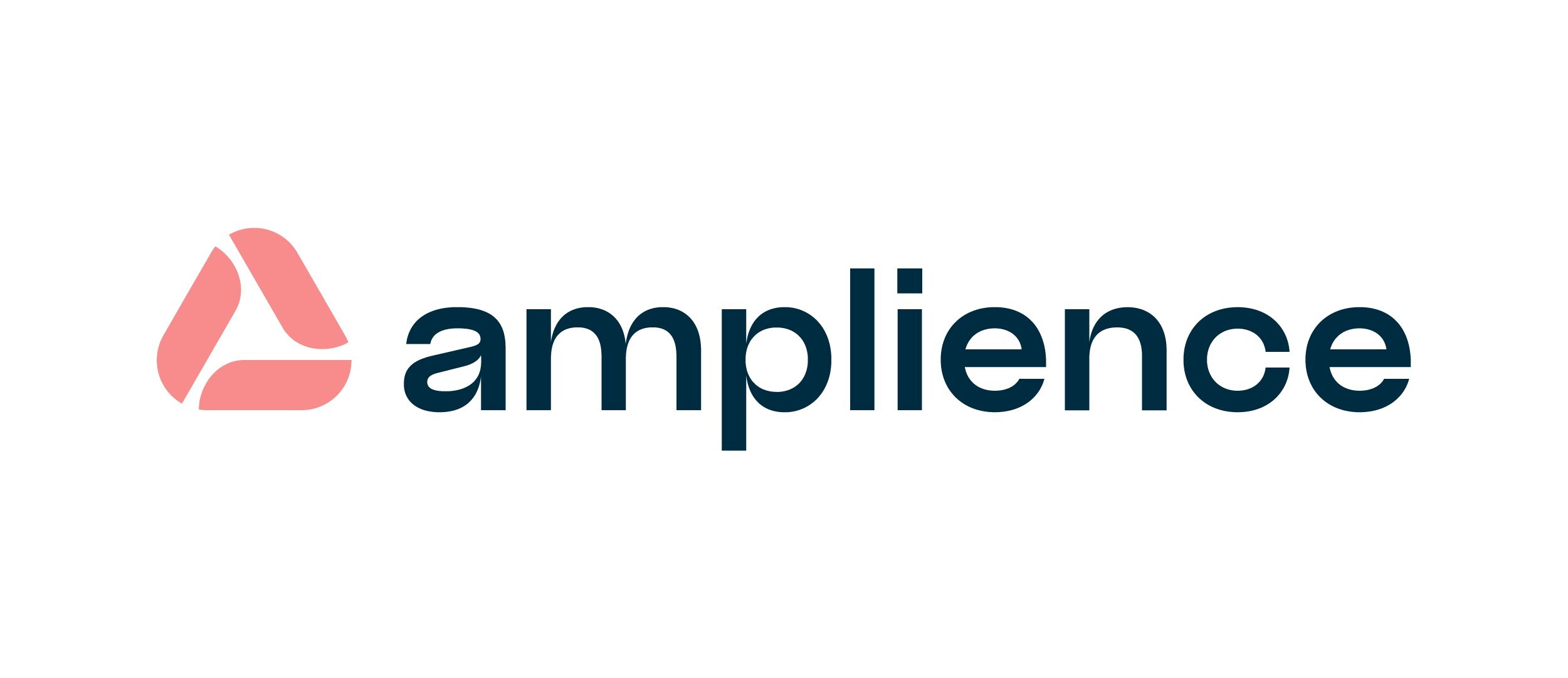 amplience-appoints-chris-annese-as-svp-global-sales-and-partnerships