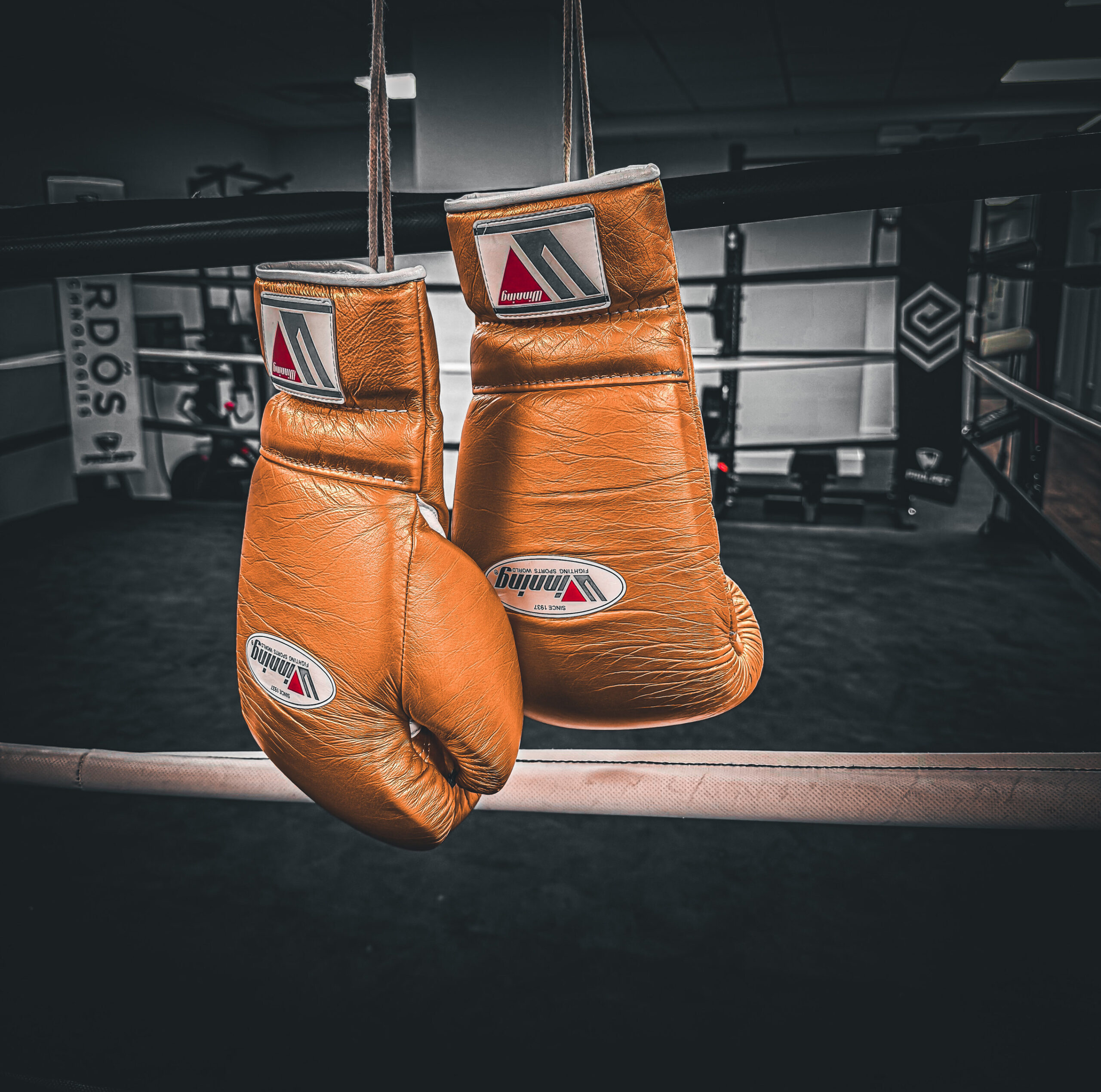boxing-aficionado-and-tech-ceo-dan-herbatschek-believes-boxing’s-move-to-netflix-signals-a-historic-shift-away-from-the-pay-per-view-model