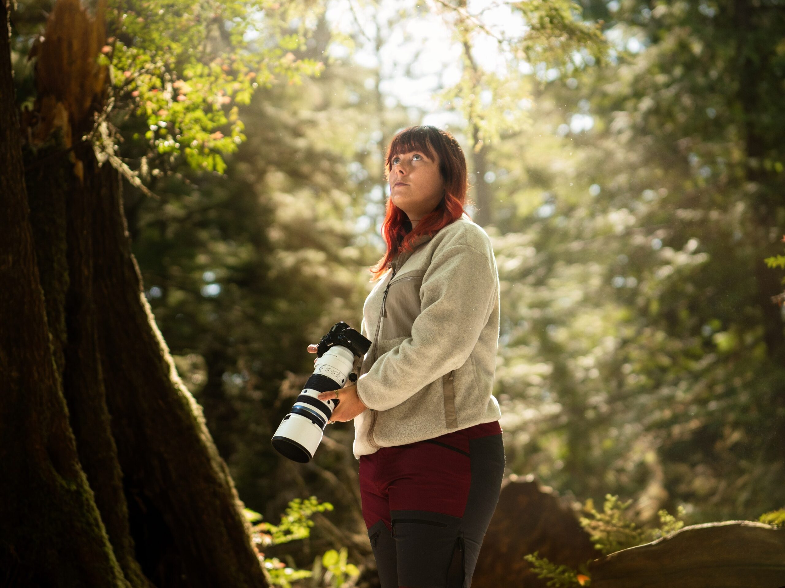 introducing-the-mzuiko-digital-ed-50-200mm-f2.8-is-pro-–-an-unparalleled-super-telephoto-zoom-lens