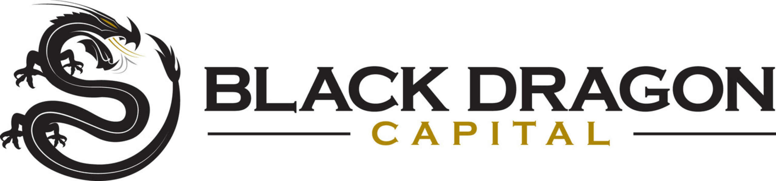 black-dragon-capital℠-to-attend-ibc-2025-with-portfolio-companies-grass-valley-and-digital-joy