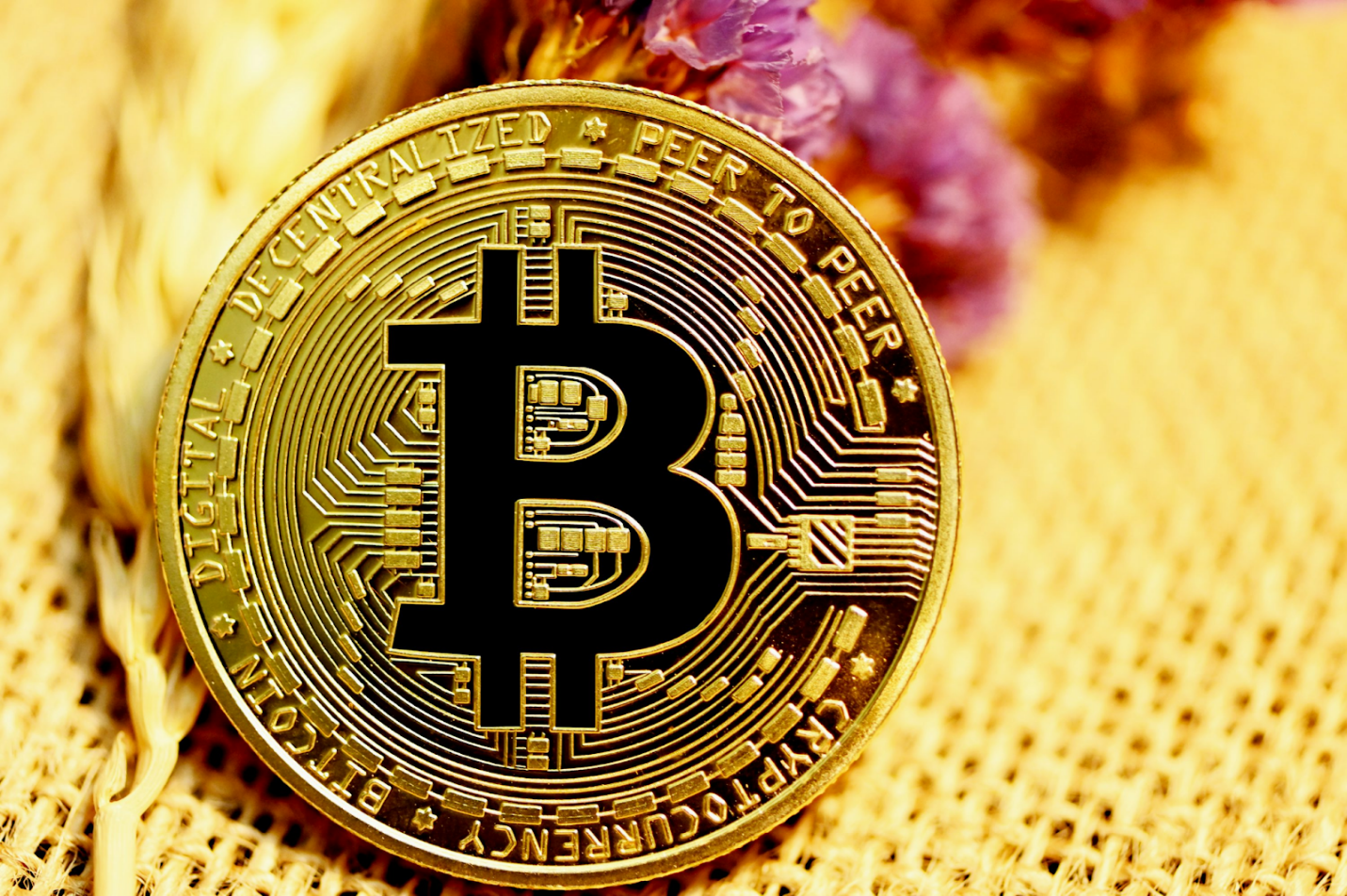 bitcoin-holds-at-$116k,-cardano-awaits-etf-decision,-bullzilla-advances-in-september-2025-presale