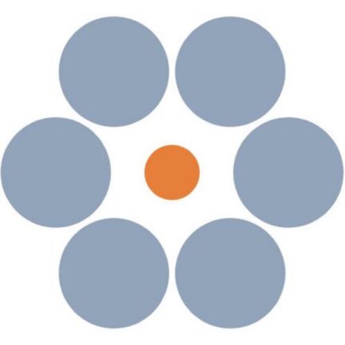 Do animals fall for optical illusions? It’s complicated.