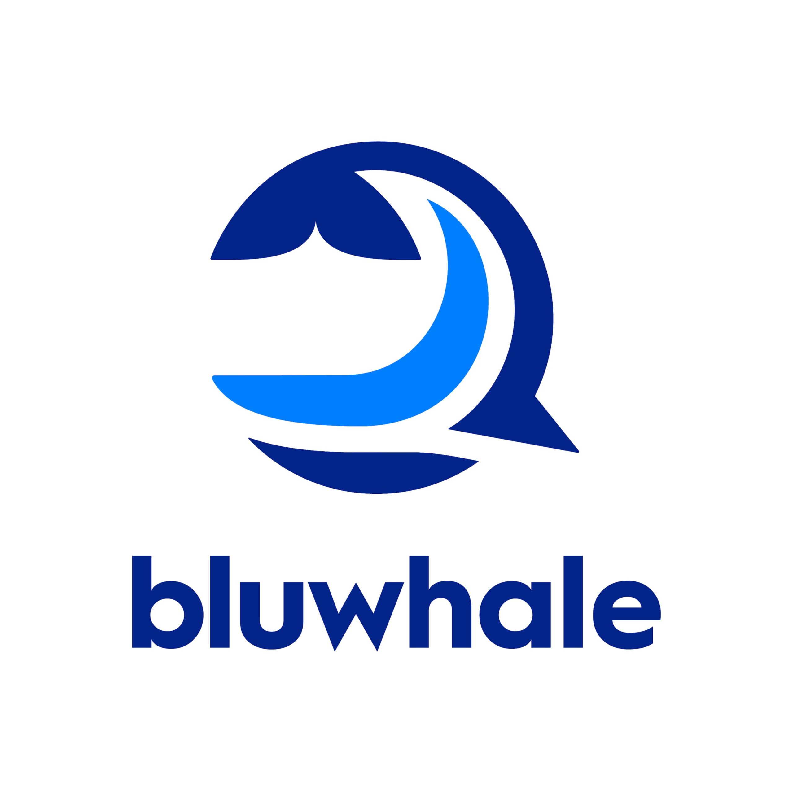 bluwhale-secures-$10-million-strategic-series-a-in-institutional-funding