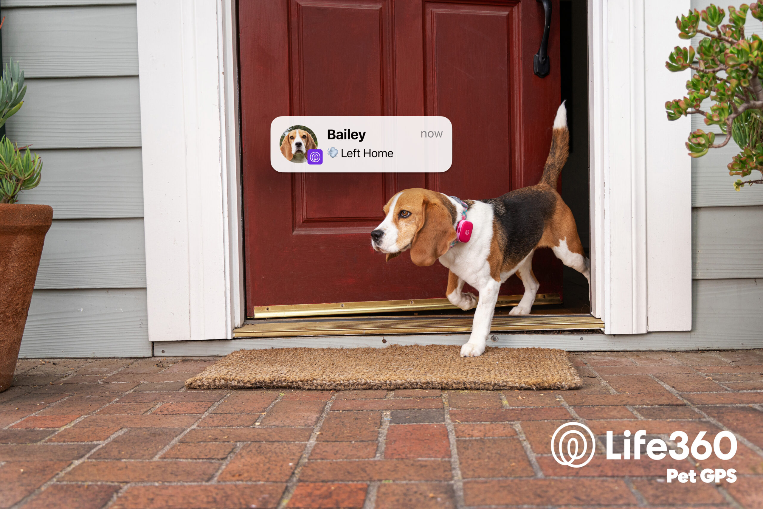 life360-debuts-new-pet-tracker-and-pet-recovery-features,-connecting-the-whole-family-in-one-app
