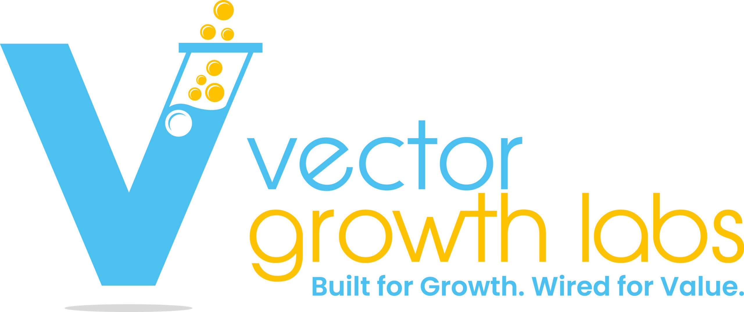 vector-growth-labs-to-provide-services-that-accelerate-growth-for-mid-market-companies