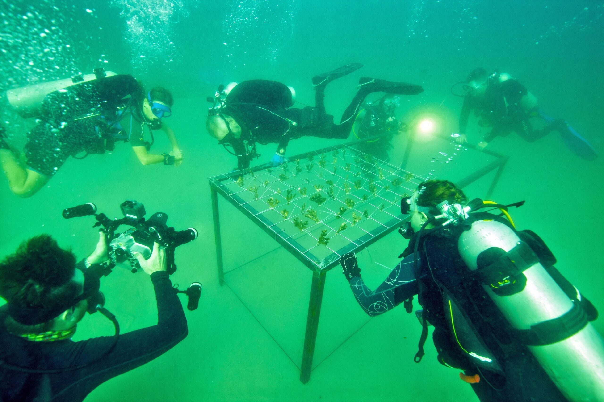 canon’s-world-unseen-2.0-dives-deeper-with-project-reeframe-to-protect-uae’s-coral-reefs