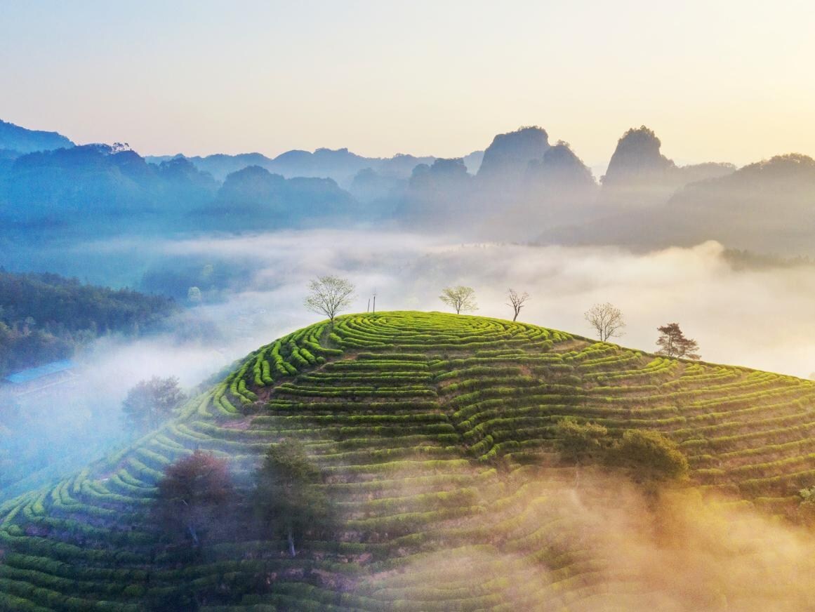 xinhua-silk-road:-se.-china-city-leverages-ecology-friendly-industries-to-boost-global-presence