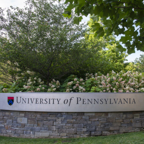 musk-and-trump-both-went-to-penn—now-hacked-by-someone-sympathetic-to-their-cause