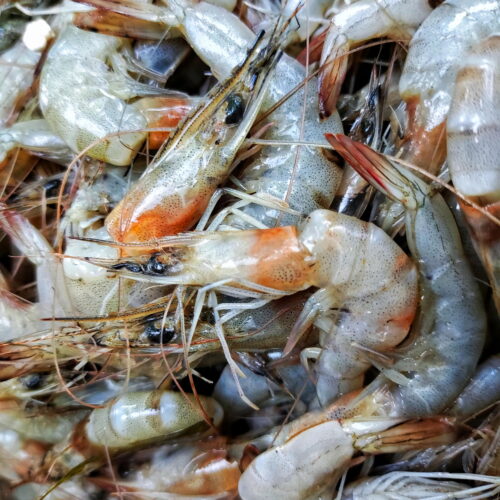 “it’s-only-a-matter-of-time-before-people-die”:-trump-cuts-hit-food-inspections