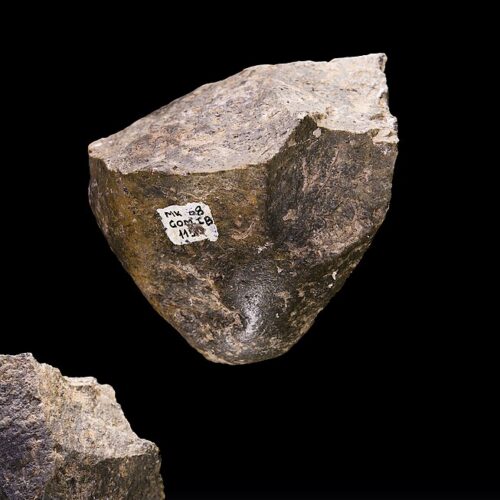 10,000-generations-of-hominins-used-the-same-stone-tools-to-weather-a-changing-world