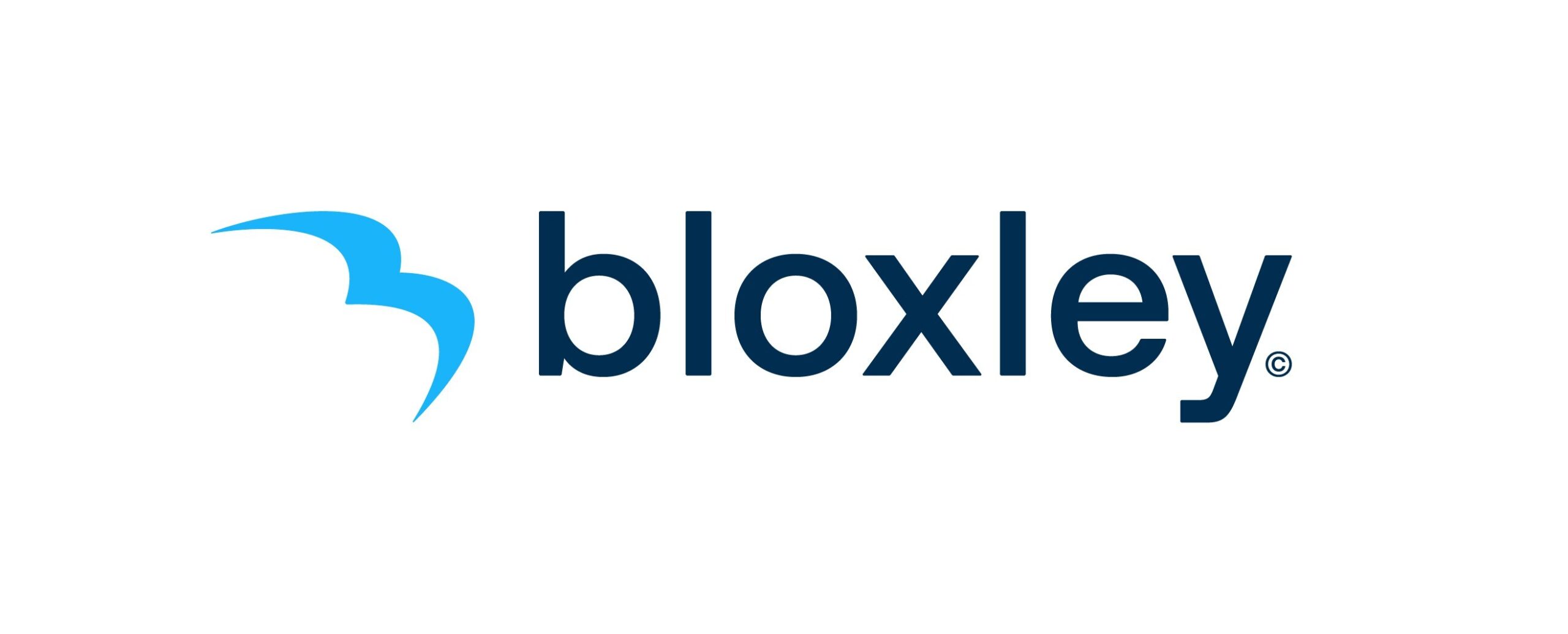 bloxley-raises-$2.5m-at-$25m-valuation-to-launch-ai-native-consumer-finance-platform-in-the-us