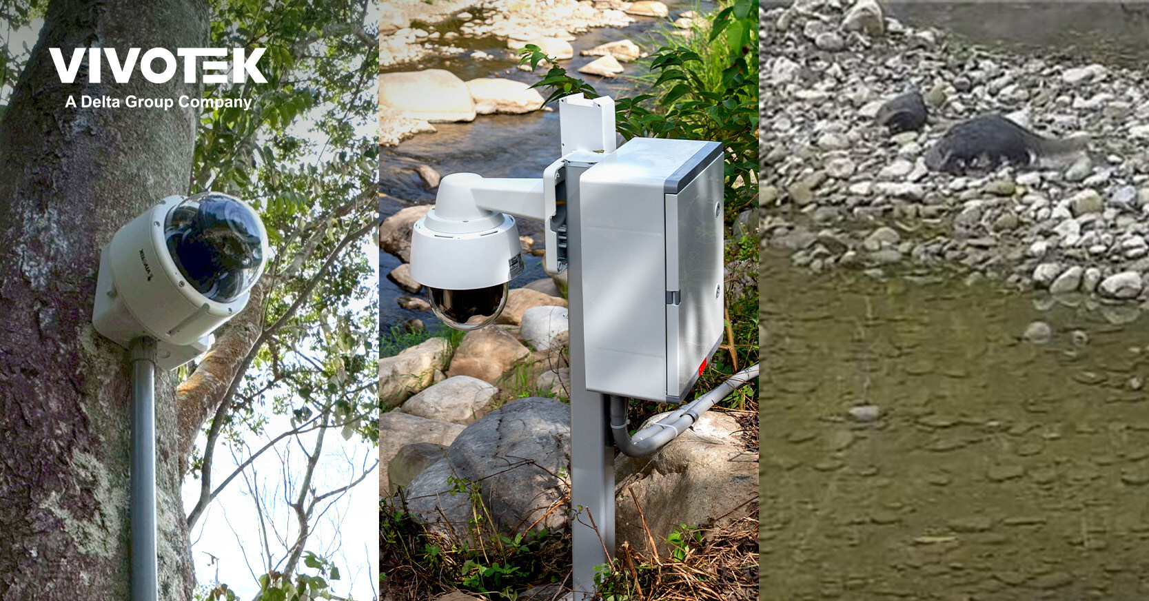 vivotek-partners-with-university-to-protect-taiwan’s-river-biodiversity