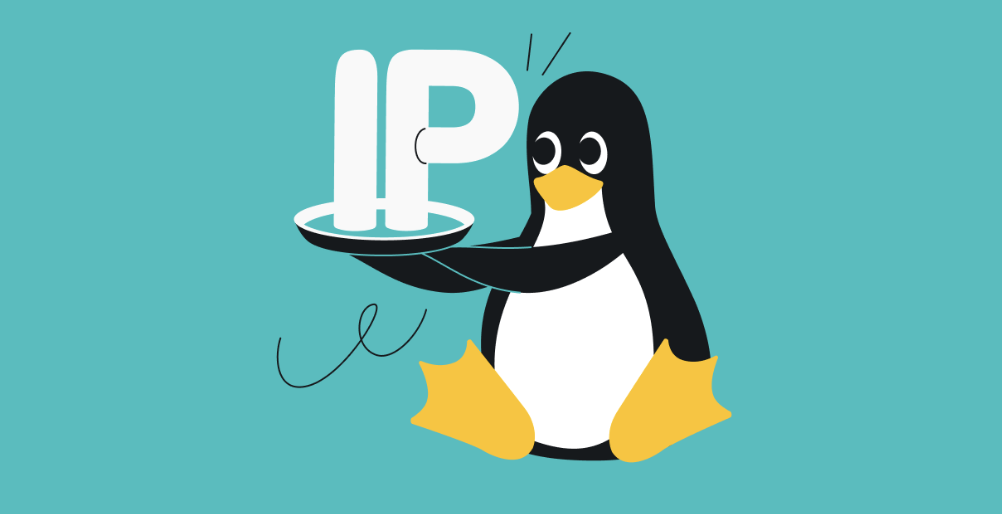 surfshark-is-one-of-the-few-to-add-dedicated-ip-to-the-linux-gui-app