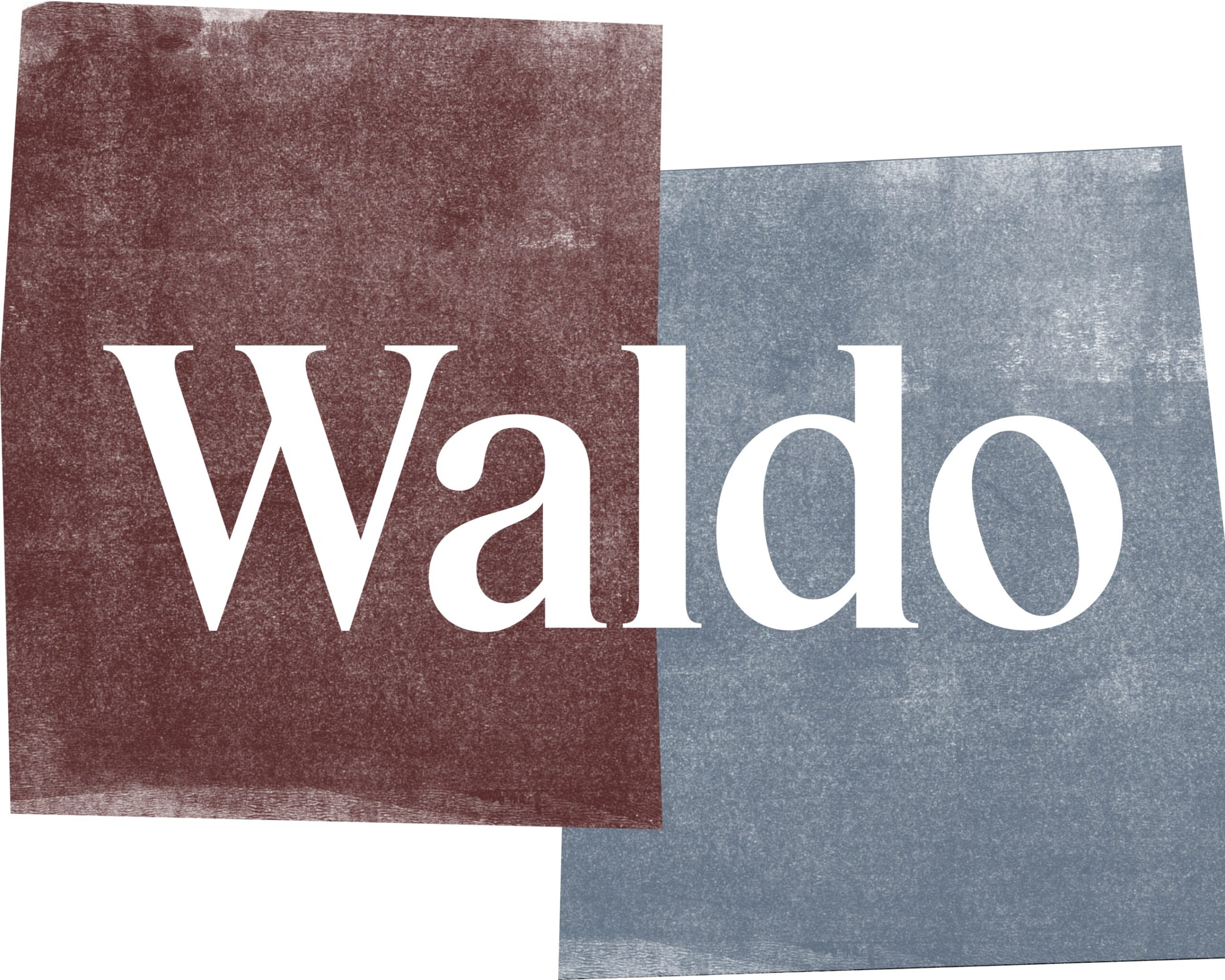 waldo-closes-$225-million-inaugural-fund-to-partner-with-founder-led-technology-companies
