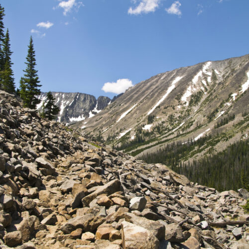 us-black-hawk-helicopter-trespasses-on-private-montana-ranch-to-grab-elk-antlers