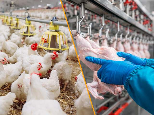 tagat-foodtech-launches-as-a-one-stop-shop-ecosystem-for-the-animal-protein-supply-chain