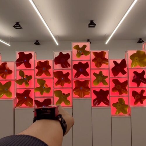 Watch a robot swarm “bloom” like a garden