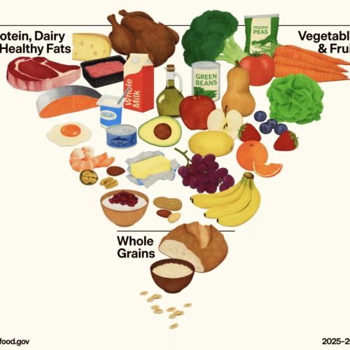 rfk-jr-food-pyramid-site-links-to-grok,-which-says-you-shouldn’t-trust-rfk-jr.