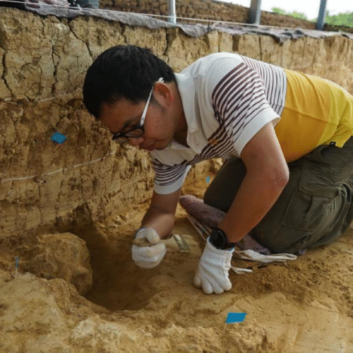 “million-year-old”-fossil-skulls-from-china-are-far-older—and-not-denisovans